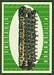 1961 Topps #112: Pittsburgh Steelers Team - click to see large image 1961 Topps #112: Pittsburgh Steelers Team