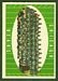 1961 Topps #18: Chicago Bears Team - click to see large image 1961 Topps #18: Chicago Bears Team
