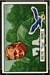 Walter Barnes - 1951 Bowman football card #48 - click to see large image Walter Barnes - 1951 Bowman football card #48