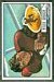 Visco Grgich - 1951 Bowman football card #68