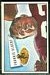 Frankie Albert - 1952 Bowman Large football card #5