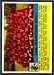San Francisco 49ers Team - 1956 Topps football card #26