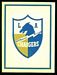 1960 Fleer AFL Team Decals Chargers Logo football card