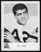 1963 IDL Steelers football card #11: Dick Hoak