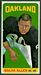 1965 Topps football card #132: Dalva Allen