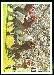 1966 Philadelphia football card #182: 49ers Play