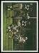 1966 Philadelphia football card #65: Cowboys Play