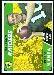 George Blanda - 1968 Topps football card #142