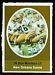 1972 Sunoco Stamps football card #386: Don Morrison