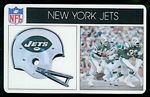 1976 Popsicle New York Jets