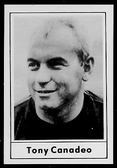 http://www.footballcardgallery.com/pics/1977-Touchdown-Club/49_Tony_Canadeo_football_card.jpg