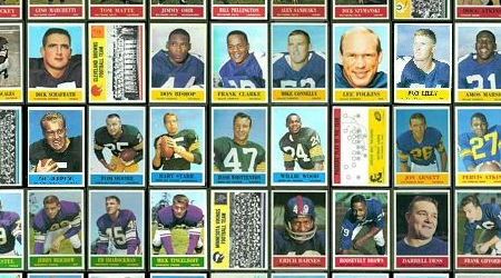 Virtual uncut sheet of 1964 Philadelphia football cards