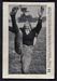 1926 Shotwell Red Grange Blank Back Red Grange