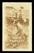1948 Topps Magic Photos Wally Triplett