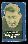 Herb Seidell 1950 Topps Felt Backs football card