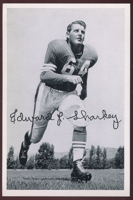Ed Sharkey 1956 49ers Team Issue football card