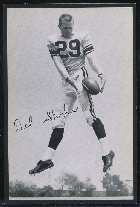 Del Shofner 1957 Rams Team Issue football card