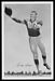 1958 49ers Team Issue Gordon Soltau