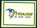 1960 Fleer AFL Team Decals New York Titans