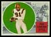 1960 Topps CFL Paul Cameron football card