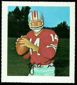 Y.A. Tittle 1964 Wheaties Stamps football card