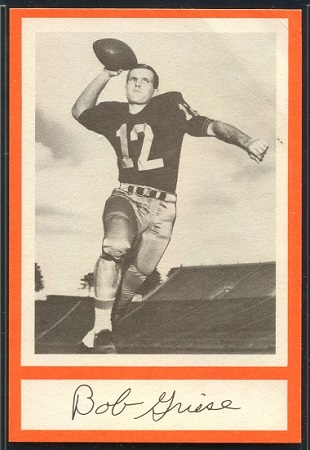 Bob Griese 1967 Royal Castle Dolphins football card Bob Griese 1967 Royal Castle Dolphins football card