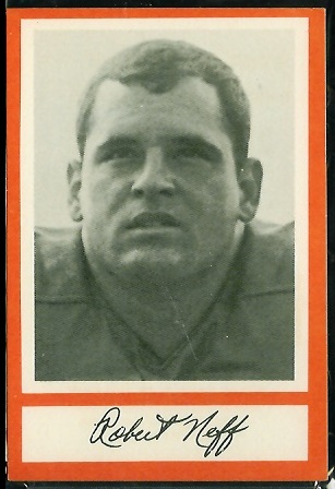 Bob Neff 1967 Royal Castle Dolphins football card