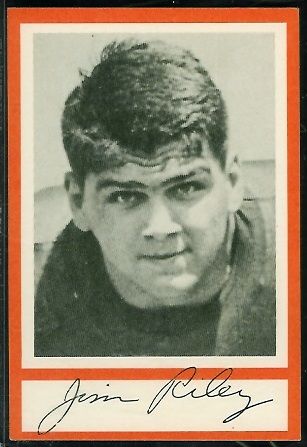 Jim Riley 1967 Royal Castle Dolphins football card