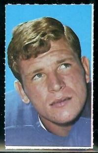 Mike Curtis 1969 Glendale Stamps football card
