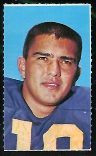 Roman Gabriel 1969 Glendale Stamps football card