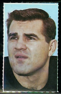 Lou Michaels 1969 Glendale Stamps football card