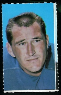 Steve Stonebreaker 1969 Glendale Stamps football card