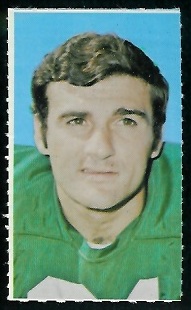 Joe Scarpati 1969 Glendale Stamps football card