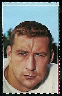 Don Brumm 1969 Glendale Stamps football card