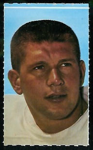 Irv Goode 1969 Glendale Stamps football card
