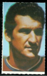 Gino Cappelletti 1969 Glendale Stamps football card