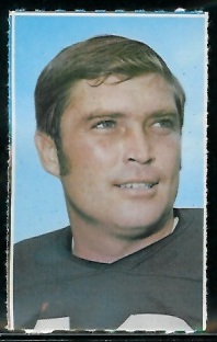 Bill Nelsen 1969 Glendale Stamps football card