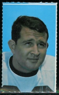 Mike Clark 1969 Glendale Stamps football card