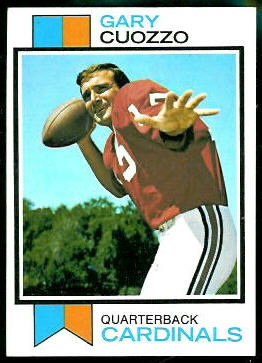 Gary Cuozzo 1973 Topps football card Gary Cuozzo 1973 Topps football card