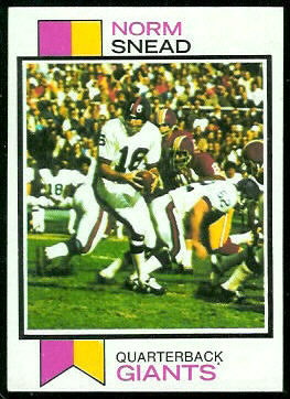 Norm Snead 1973 Topps football card