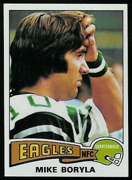 Mike Boryla 1975 Topps football card