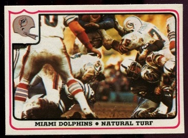 Miami Dolphins - Natural Turf 1976 Fleer Team Action football card