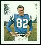 Raymond Berry 1964 Wheaties Stamps football card